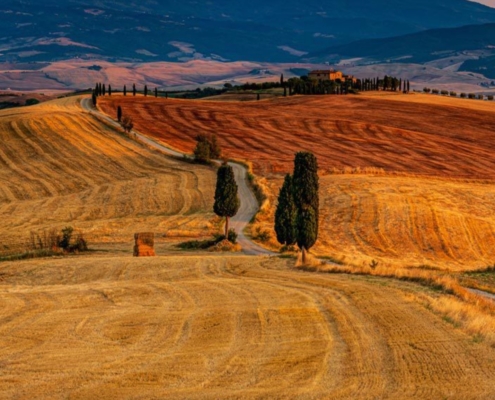 Colline Toscane con i Colori della Terra di Siena