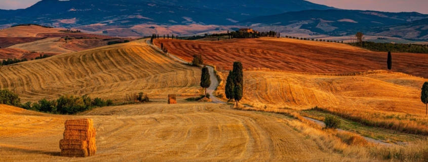Colline Toscane con i Colori della Terra di Siena