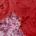 Rosso Cocciniglia
