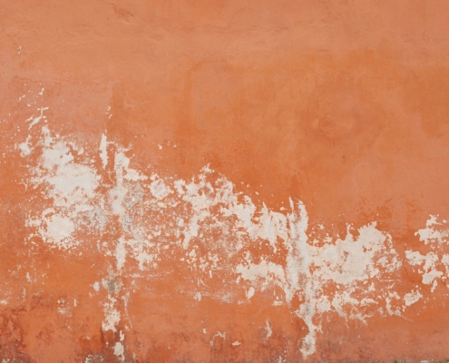 Prevenire Le Muffe nel tempo