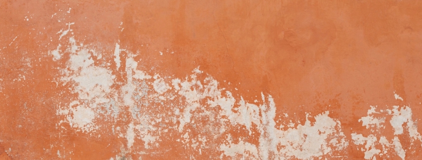 Prevenire Le Muffe nel tempo