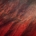 Sfumaturedirosso