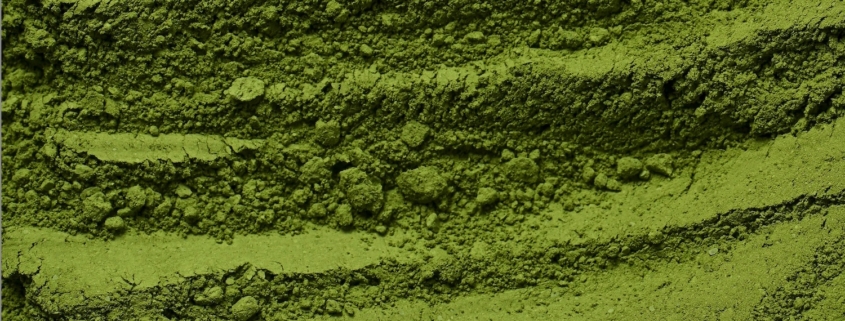 Storia del Verde Naturale