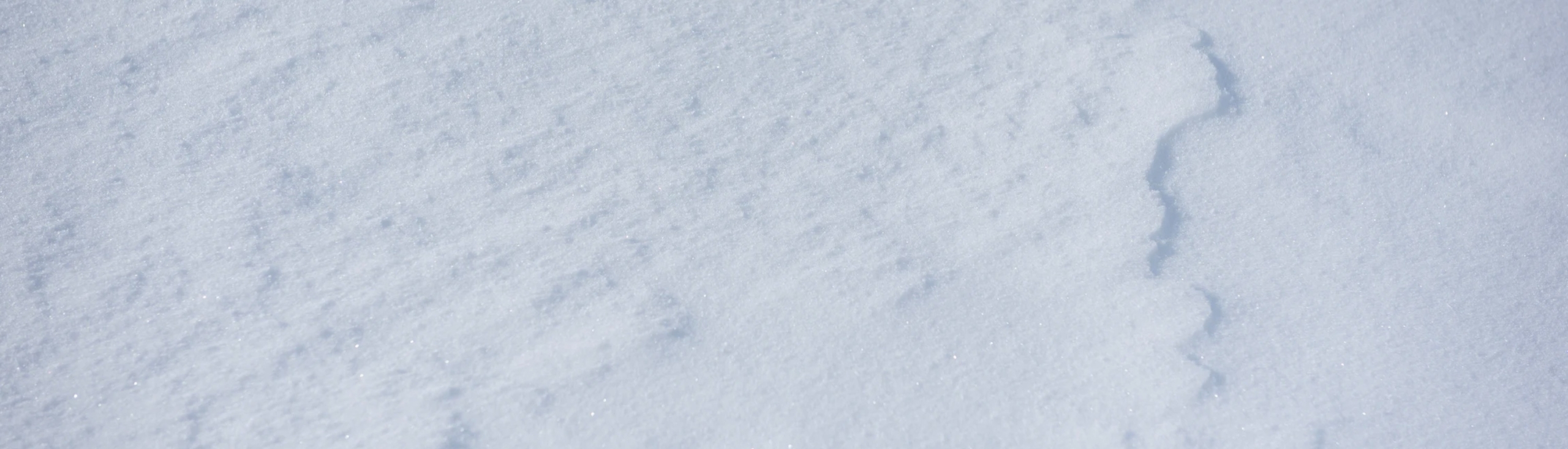 Bianco Litopone
