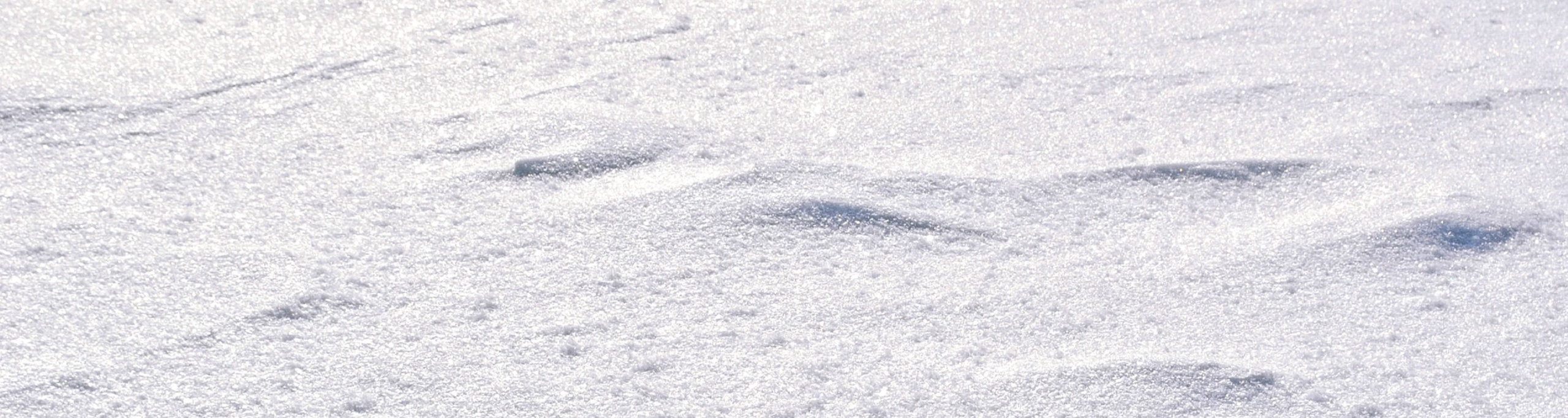 Bianco Stagno