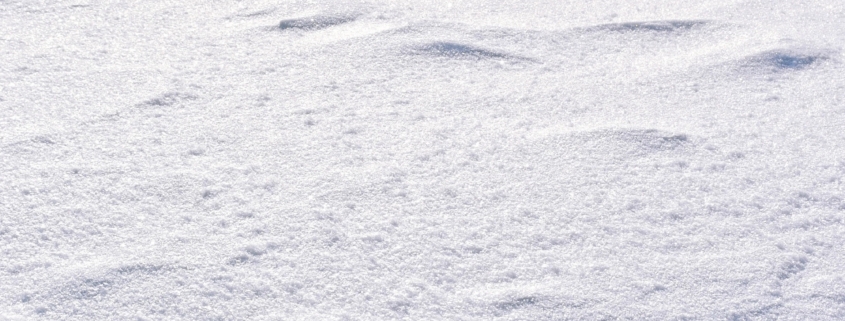 Bianco di Stagno