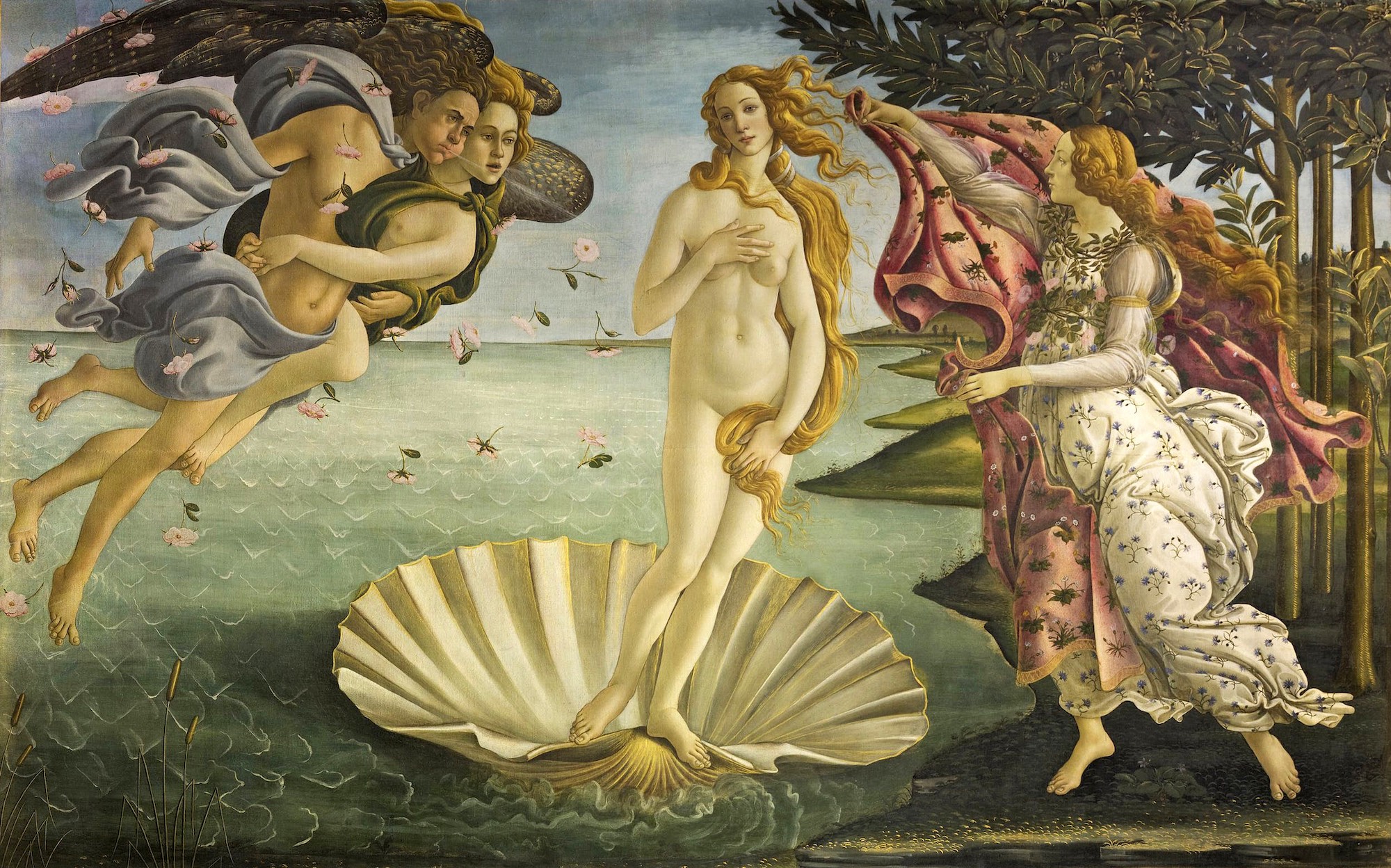 Nascita di Venere botticelli