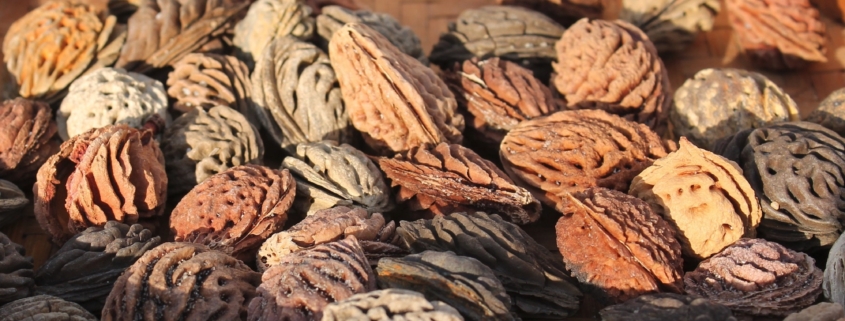 Nero di Noccioli