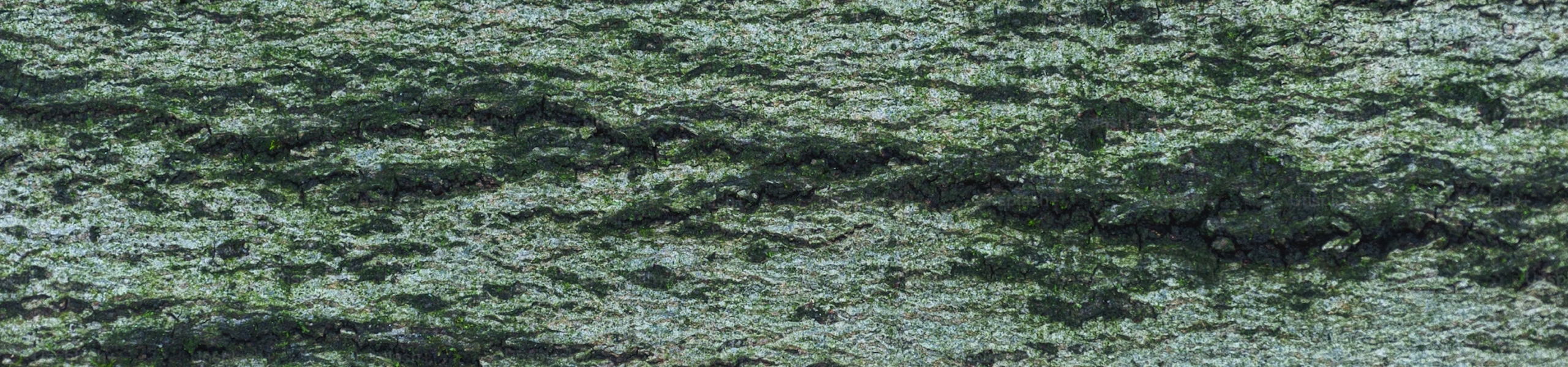 Ossido di Cromo Verde