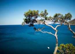 Pigmenti del sud italia