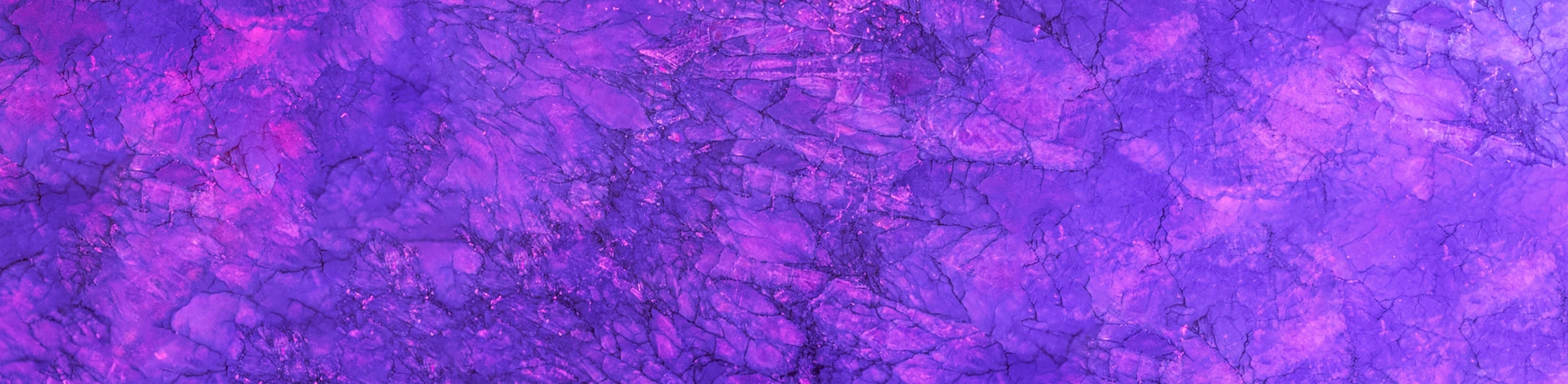 Purpurissum pigmento viola