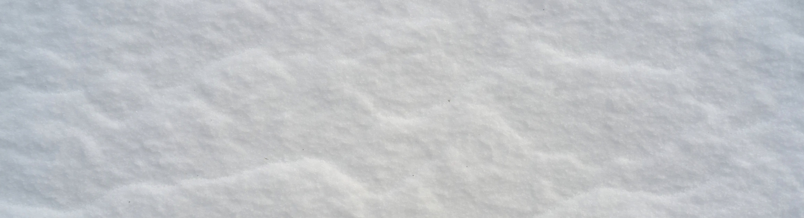 Bianco Titanio