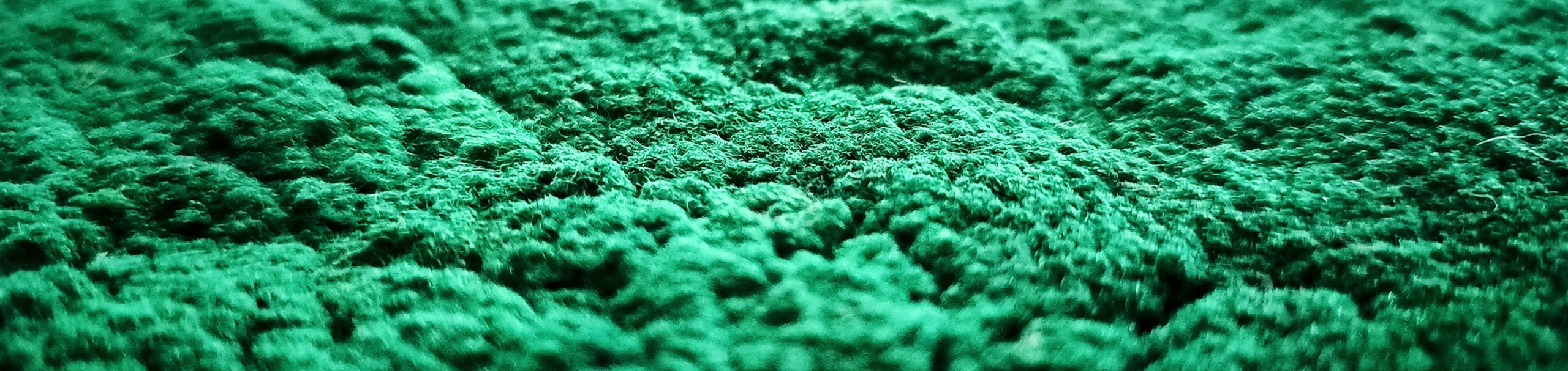 Verde Cobalto