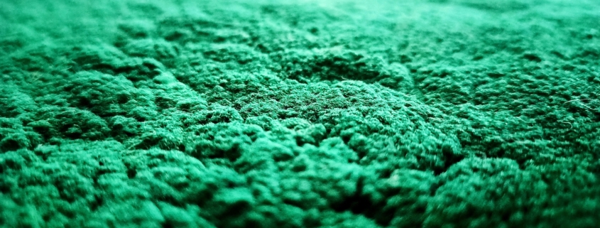 Verde Di Cobalto