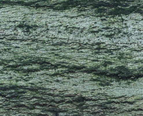 Verde di Cromo Ossido