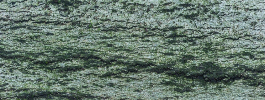 Verde di Cromo Ossido