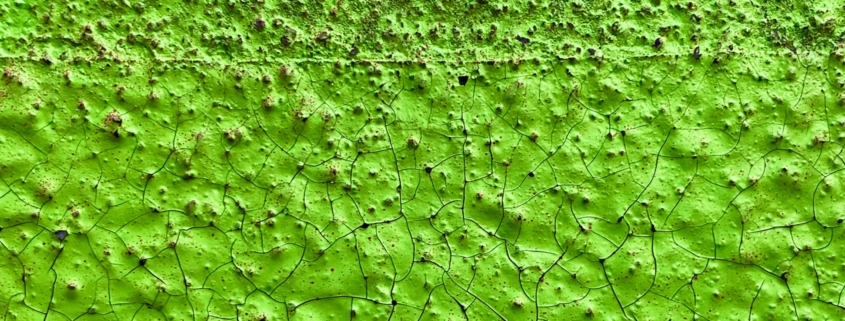 Verde di Scheele