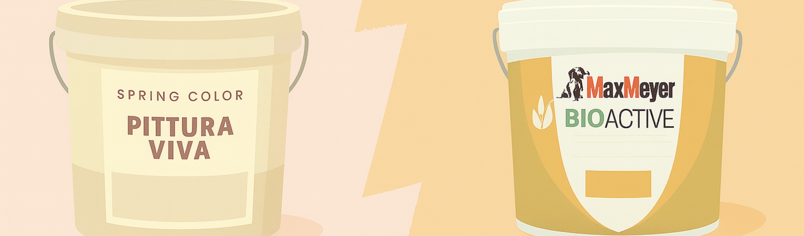 Maxmayer vs pittura viva