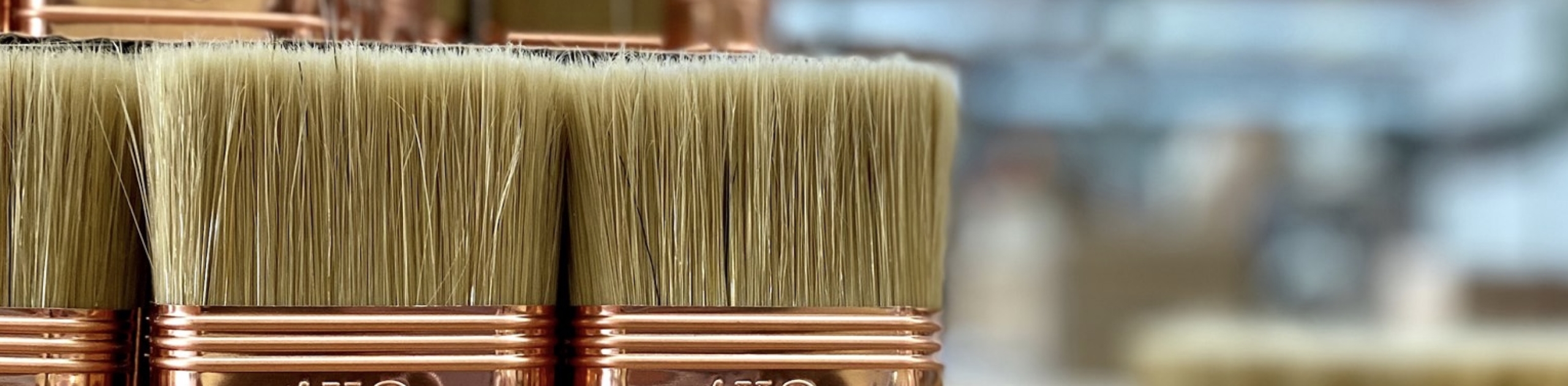 Strumenti e Attrezzature pitturebio