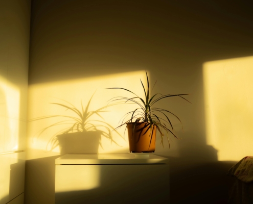 Le Vernici Fotocatalitiche