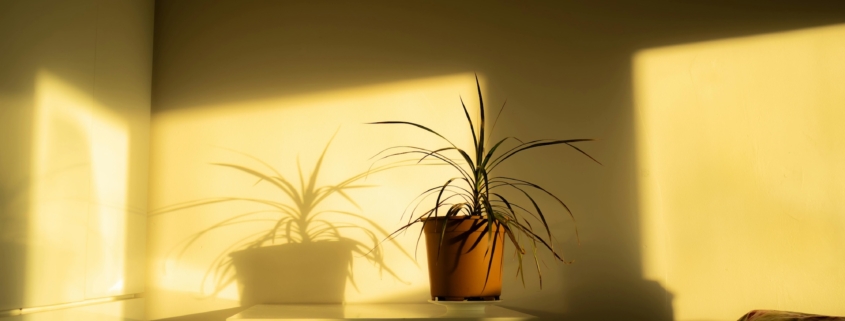 Le Vernici Fotocatalitiche