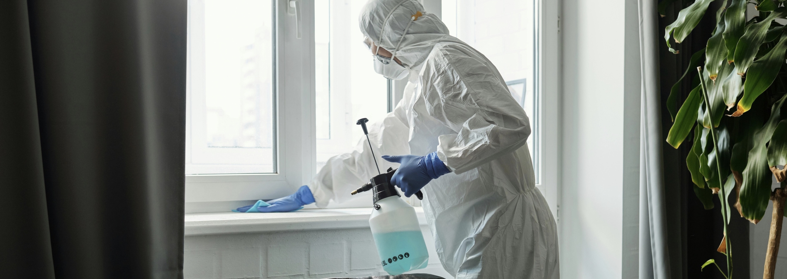 Antimuffa Chimico Industriale Antimuffa Chimico Industriale