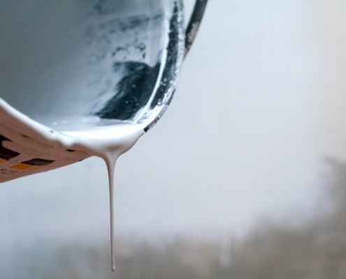 Dentro le Vernici Ingredienti lista