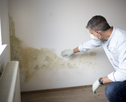 Muffa Dopo La Ristrutturazione