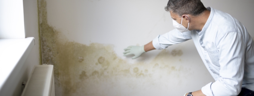 Muffa Dopo La Ristrutturazione