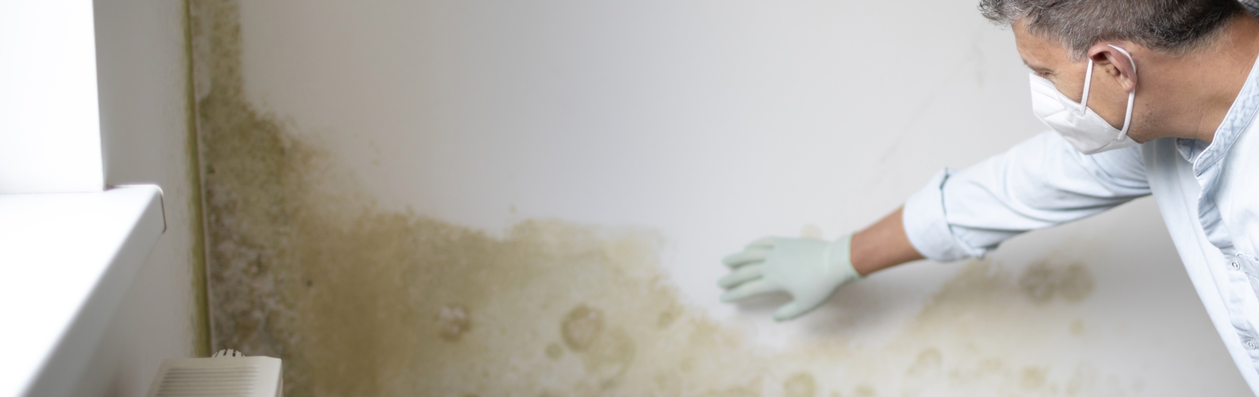 Muffa Dopo La Ristrutturazione casa nuova