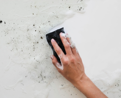 Pulizia delle Muffa dalle pareti