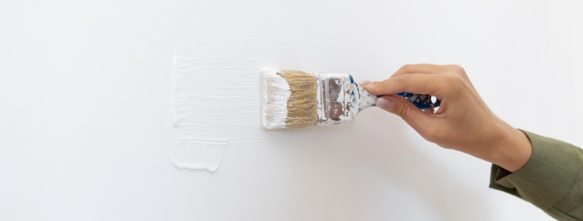 Vernice Antimuffa Ideale