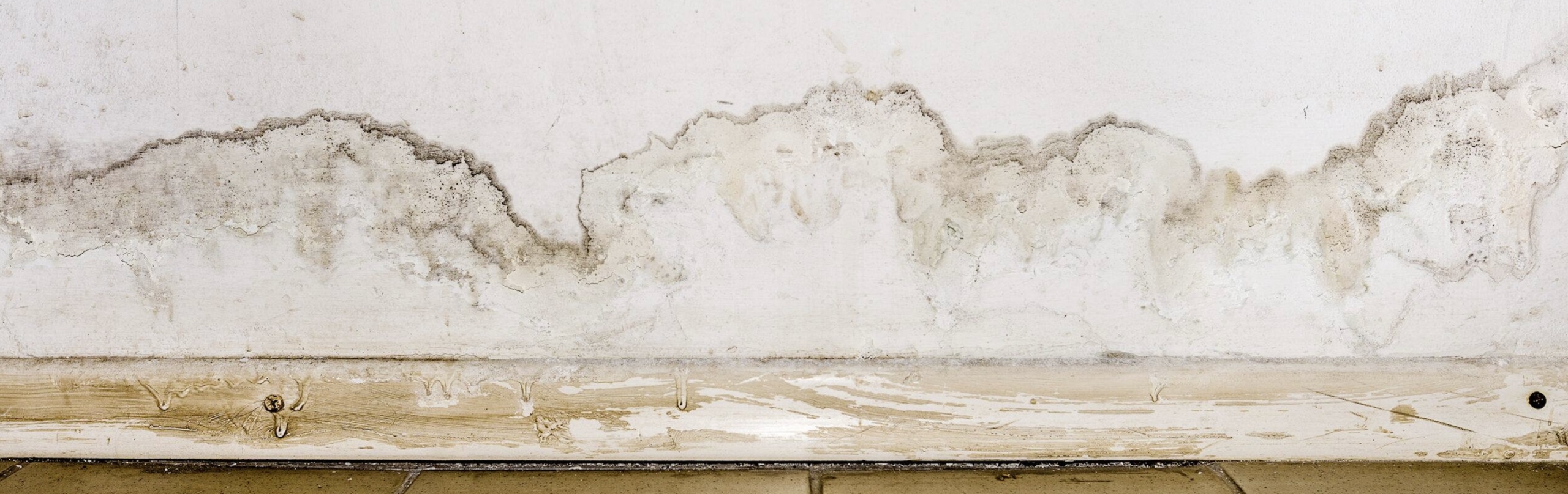 Vernici Antimuffa Vernici Antimuffa