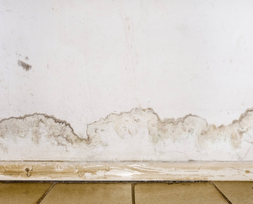 Vernici Antimuffa analisi