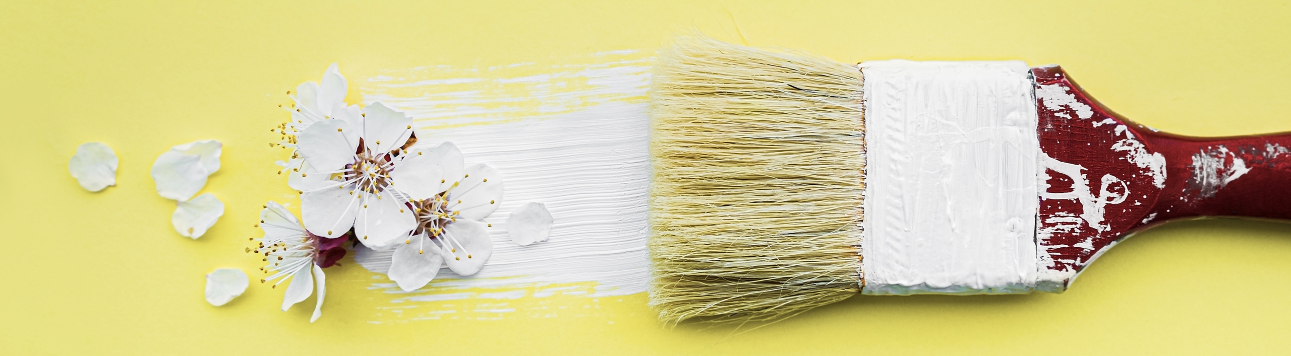 Vernici Naturali sopra Vernici Sintetiche